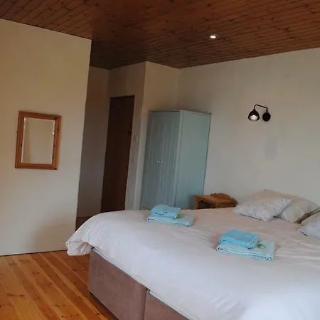The Castle Bed & Breakfast-3